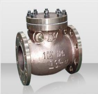 SwingCheckValve
